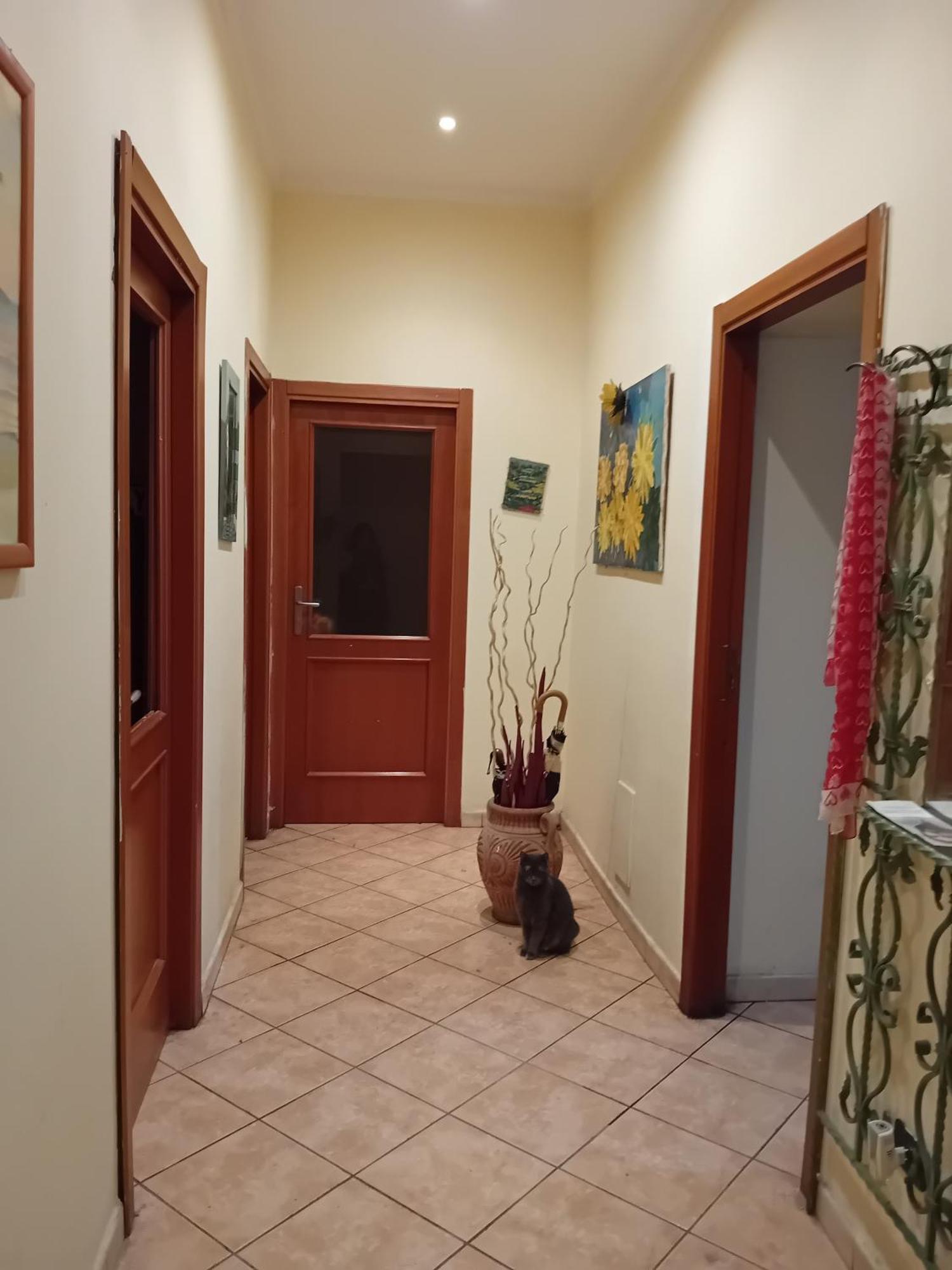 Luna 2 Apartment *